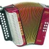 Hohner Erica D/G Diatonic Accordion Folk & Native