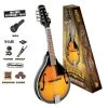 Crescendo Music Bryden Mandolin Starter Package Folk & Native