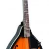 Crescendo Music Folk & Native Bryden Arch Top Teardrop A-Style Mandolin