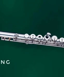 Crescendo Music ORION OFL1158S Open Hole Flute Silver Plated