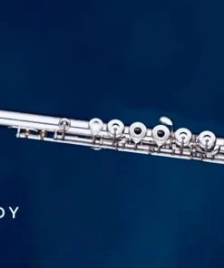 Crescendo Music Woodwind ORION OFL1280S Japan Open Hole Flute B Foot