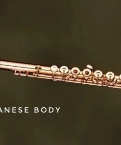 Crescendo Music Woodwind ORION OFL1280G Japan Open Hole Flute B Foot