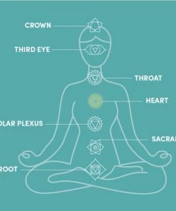 Crescendo Music Percussion QEP Music Pure Crystal Singing Bowl Set Of 7